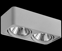 Светильник потолочный AR111 MONOCCO серый 212629