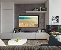 Очаг Cassette 500 PS (без дров) сн/пр