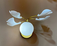 Бра Crystal Lux COLIBRI AP1 GOLD