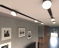 Трековый светильник Pila 12W 4200К черный