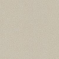 9215-02 Обои Eurodecor Fern