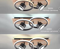 Люстра светодиодная SF8543/4C-BK-WD