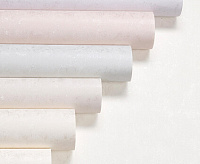 HC71996-65 Обои Home Color Pions (8) ВВ ГТ ФО 1,06*10м сн/пр