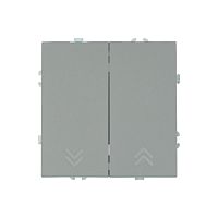 Эмили Выключатель 2кл самовозвратный платиново-серый RSW10-5113-10