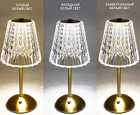 Настольная лампа CRYSTAL M 3W R-ON/OFF-130x295-CLEAR/GOLD-DC5V/1A-IP20