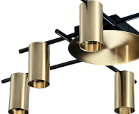 Люстра 8120C-6 LOFT IT Tribes