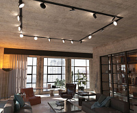 Трековый светильник Pila 12W 4200К черный