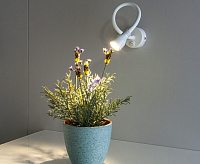 Бра MRL LED 1030 KORD белый