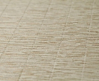 Обои Палитра 7188-17 Gobi