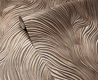 Обои Revolute Victoria Stenova 588048