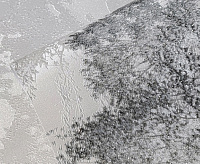 Обои Accento Сказочный лес 620303