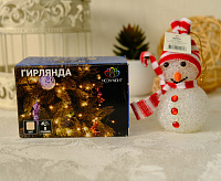 Набор "Подарочный" цвет гирлянд Теплый белый 500-066 сн/пр