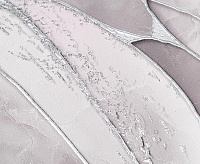 PL72009-44 Обои 10 ВВ ГТ ФО Палитра Innopolis (6)