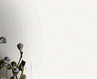 Обои Dubai&nbsp;&nbsp;Victoria Stenova 281053