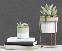 287259 Обои Ateliero Tempo (6)