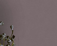 Обои Pantone&nbsp;&nbsp;Victoria Stenova 989925 (6) сн/пр