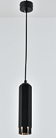 Подвесной светильник 2066CN SBK сн/пр