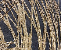 7188-22 Обои Eurodecor Freya