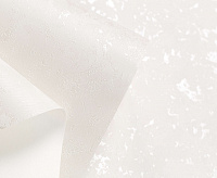 Обои Палитра HC71542-12 Colibri 